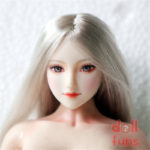 Dollfuns Obitsu OB27 Silver Hair Beauty Customized Head Sculpt N101